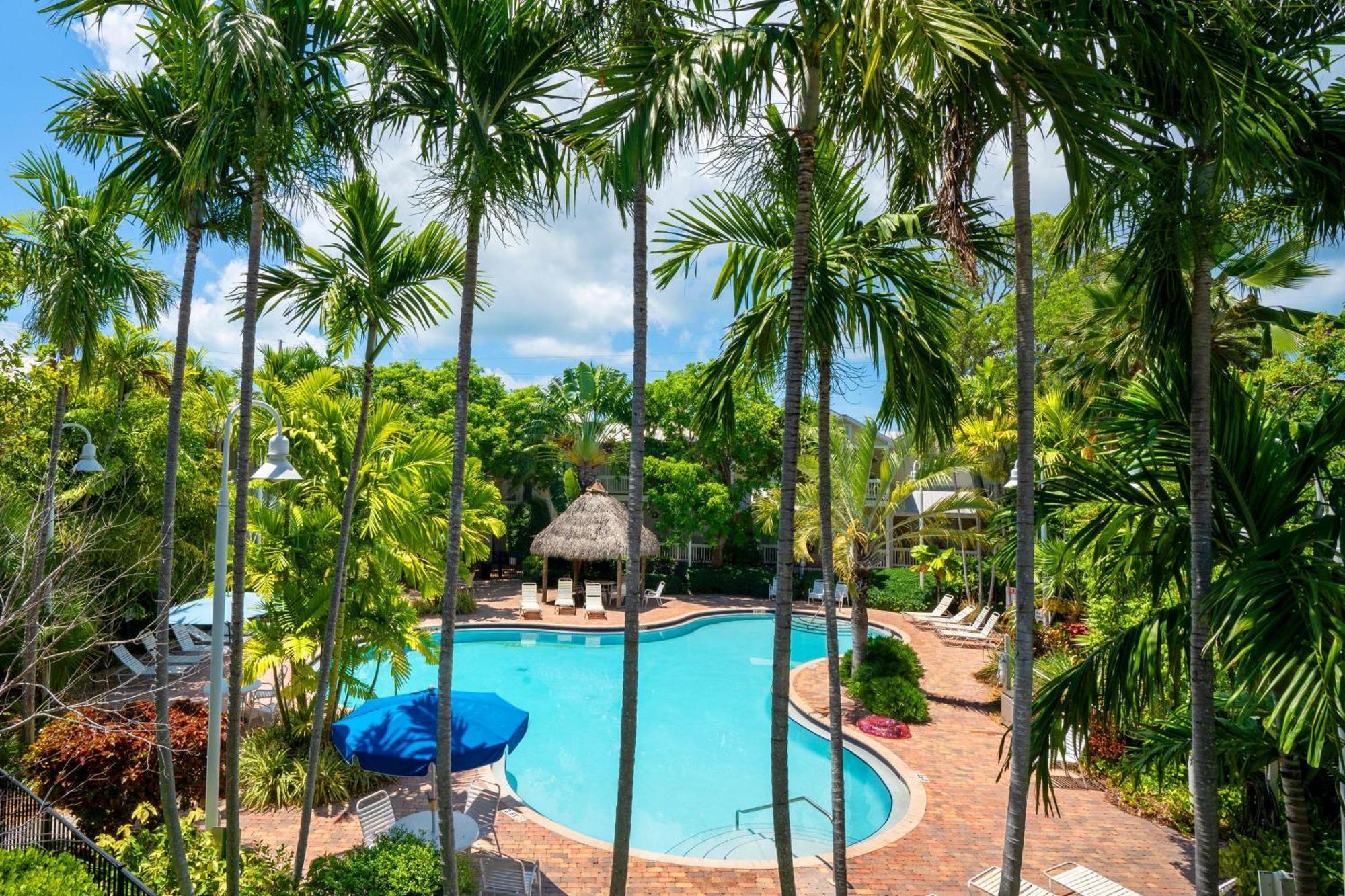 Coral Hammock Poolside Home Key West Exteriér fotografie